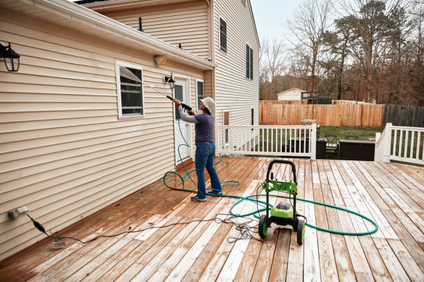 Deck Cleaning Services in Vandercook Lake, MI