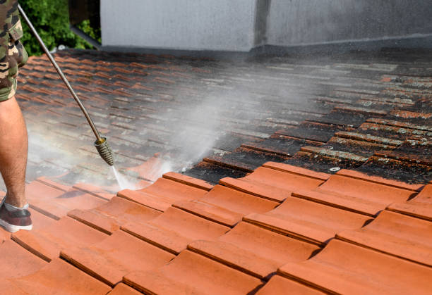 Best Commercial Pressure Washing  in Vandercook Lake, MI