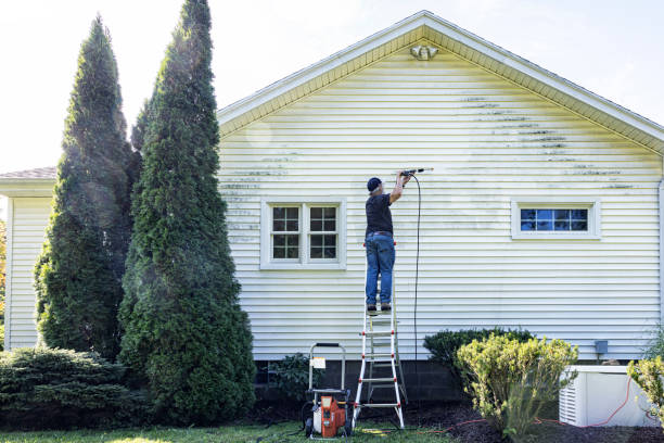 Best Roof Pressure Washing  in Vandercook Lake, MI