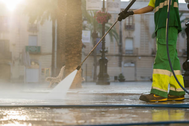 Best Roof Pressure Washing  in Vandercook Lake, MI
