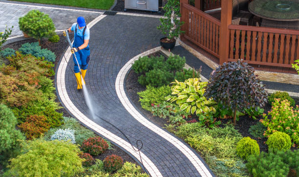 Roof Power Washing Services in Vandercook Lake, MI