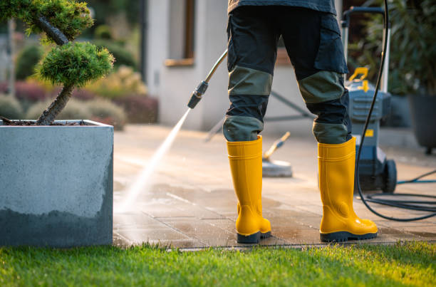 Best Local Pressure Washing Services  in Vandercook Lake, MI